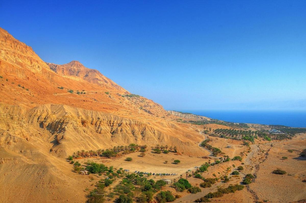 Ein Gedi Caravan By Dory Caravan Exterior foto